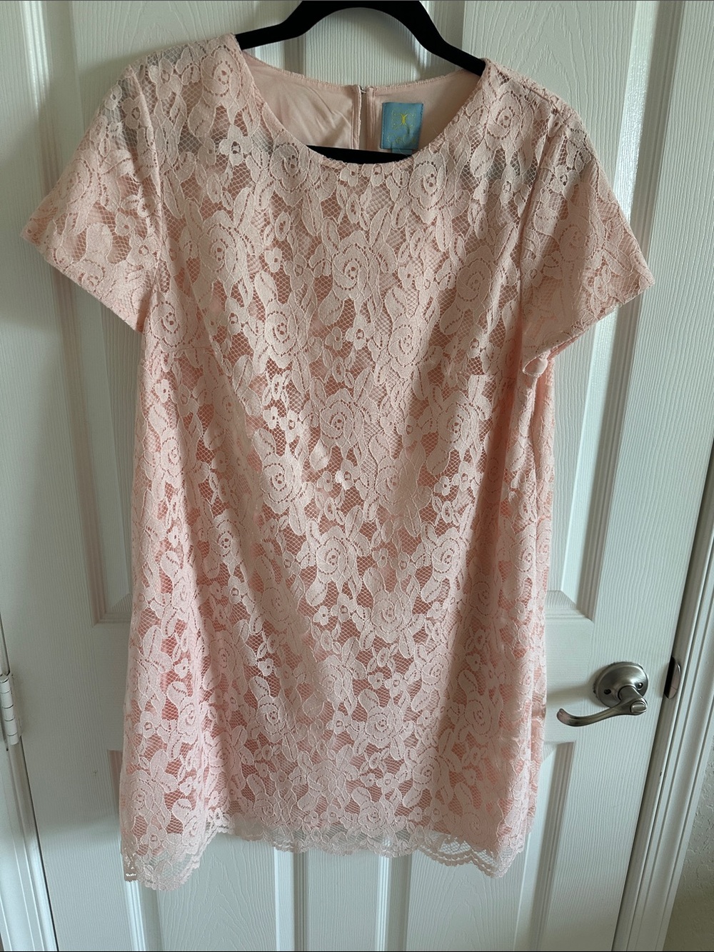 CeCe Blush Lace Overlay Dress
